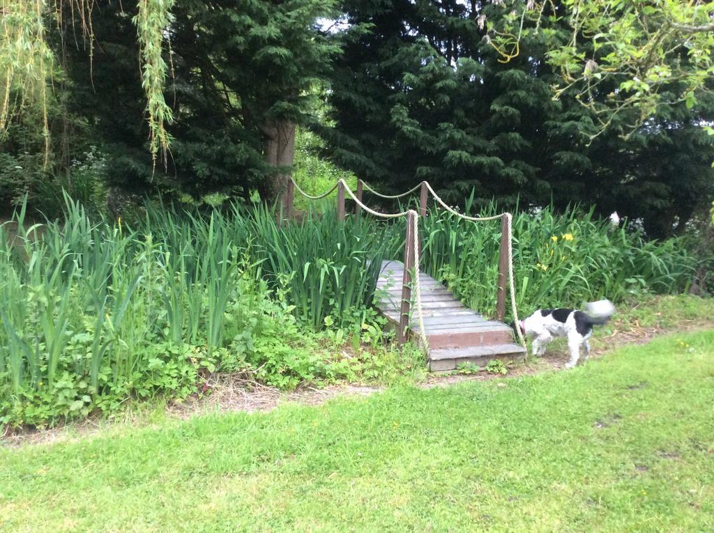 Valley Farmhouse, Westhall Redisham エクステリア 写真